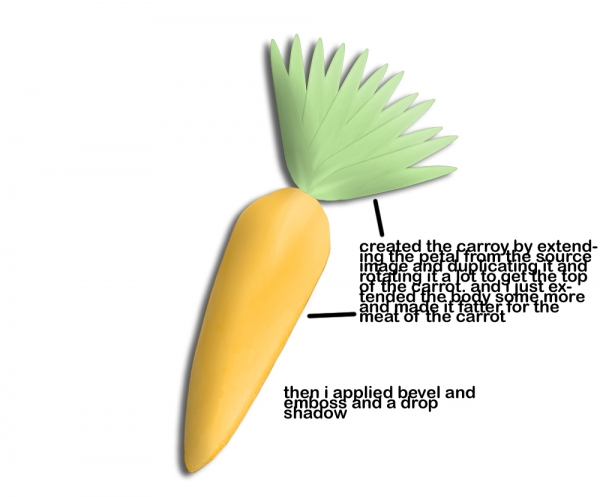 Creation of The Carrot: Step 1